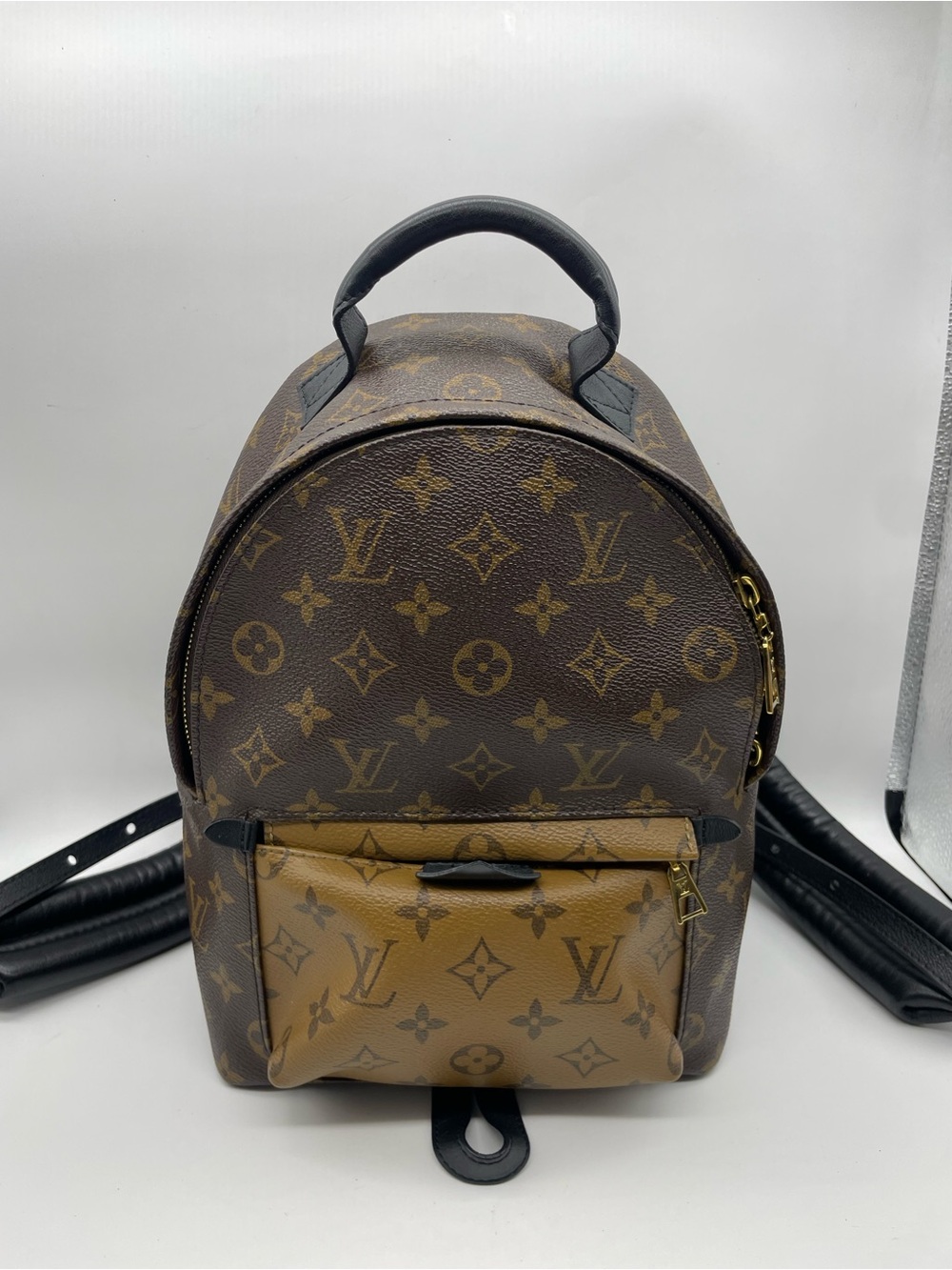 Louis Vuitton Palm Springs Backpack Bag